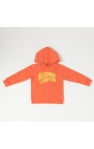 BBC orange curve hoodie